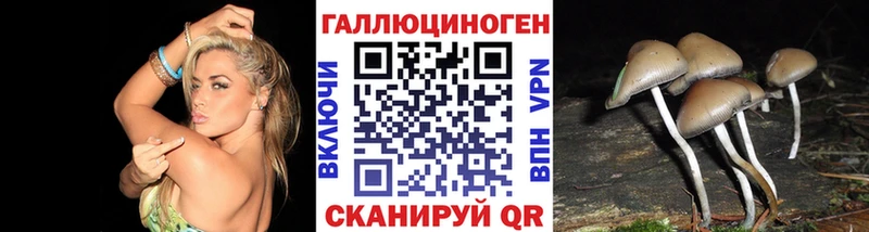 Купить закладки  Ясногорск  Псилоцибиновые грибы Psilocybe 